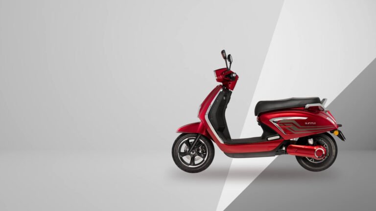 Electric Scooters: The Future of Automobility